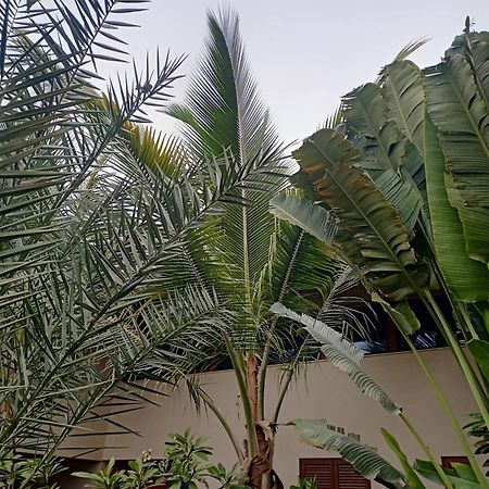 Casa Das Buganvilias Praia Luaran gambar