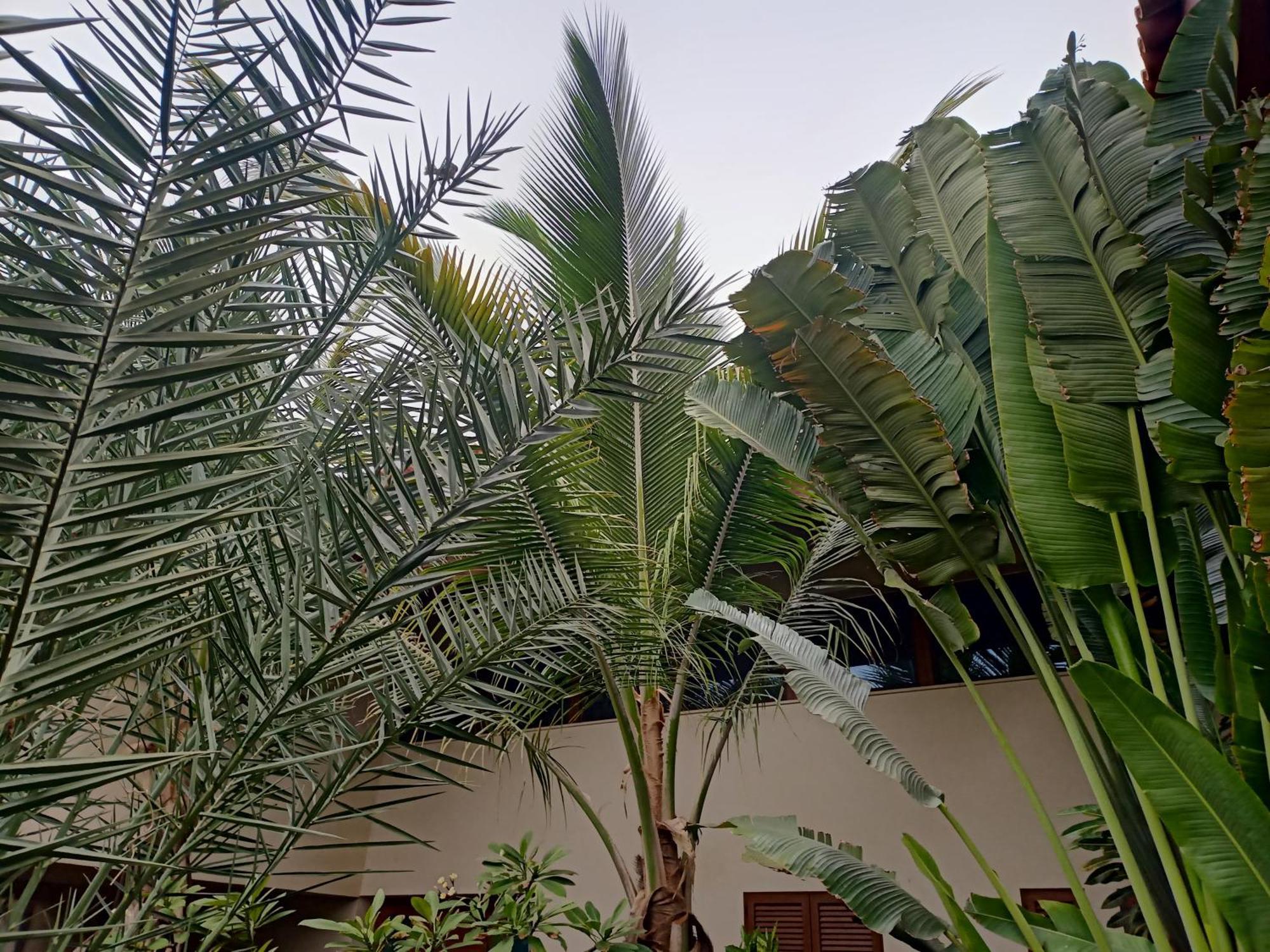 Casa Das Buganvilias Praia Luaran gambar