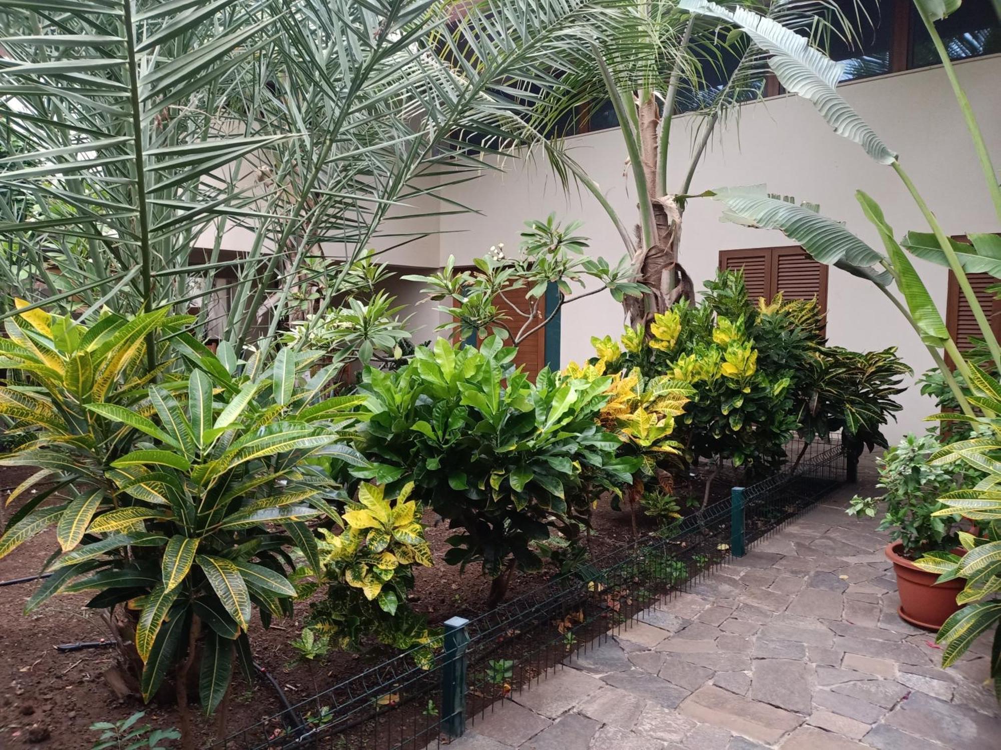 Casa Das Buganvilias Praia Luaran gambar